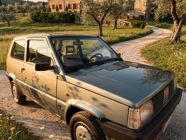 INCREDIBILE FIAT PANDA TOP TEN CON SOLI 83.516 km