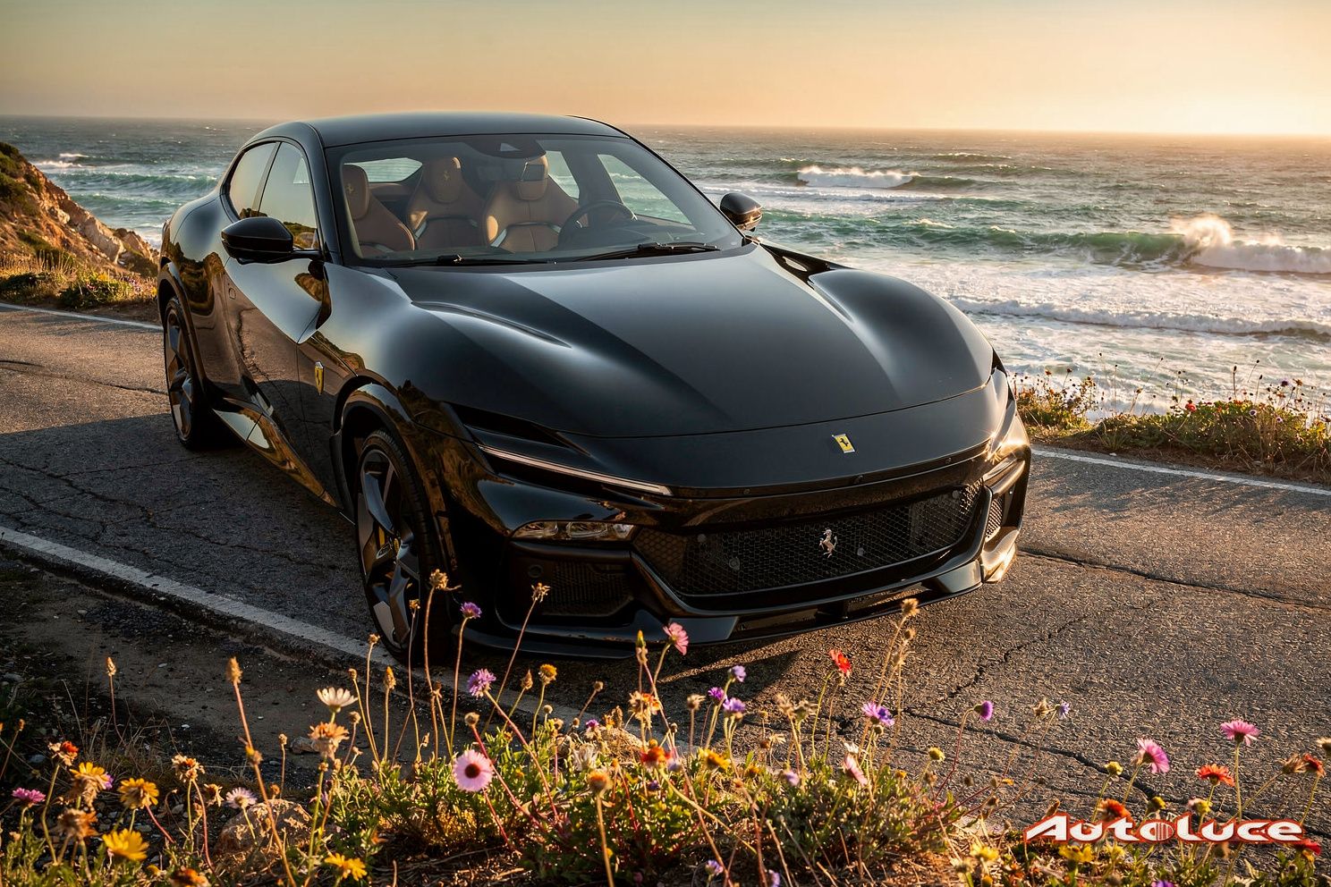 FERRARI PUROSANGUE